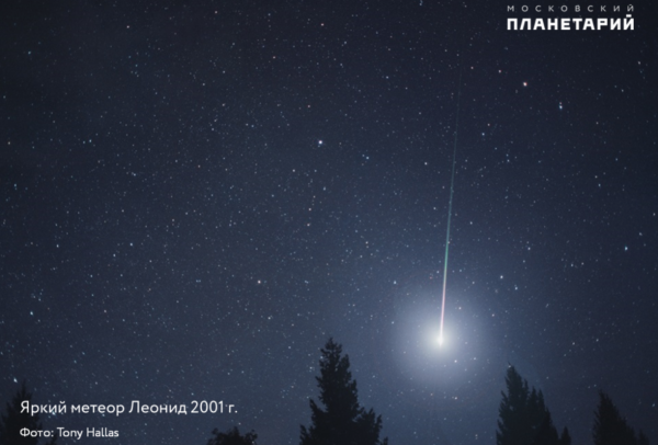 Пик звездопада Леониды смогут наблюдать нижегородцы в ночь на 18 ноября